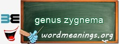 WordMeaning blackboard for genus zygnema